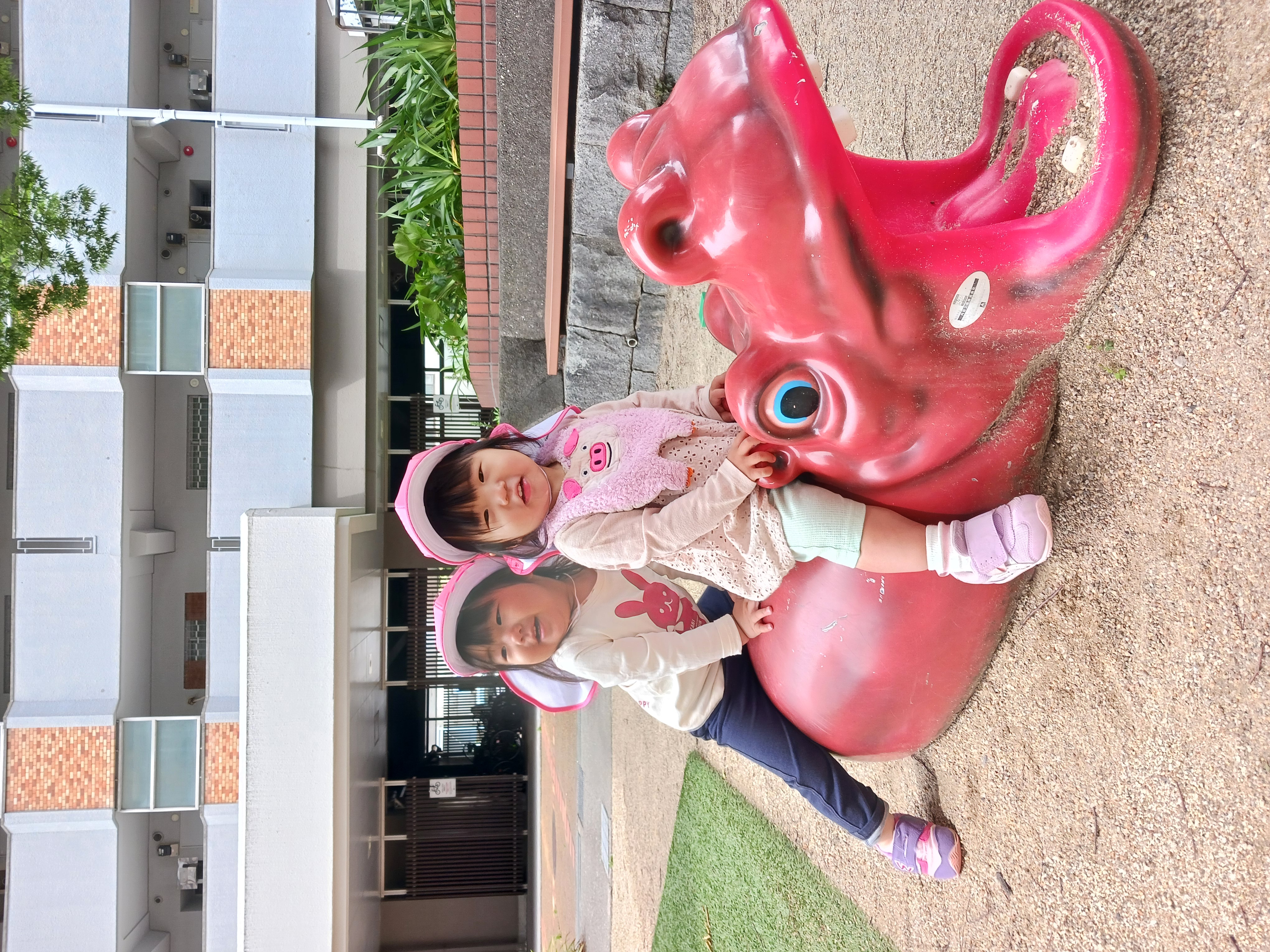 20250526_103326.jpg